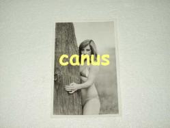 GÜLİSTAN OKAN Eski Dönem Fotoğrafı