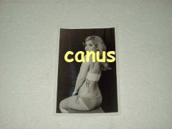 GÜLİSTAN OKAN Eski Güzel bir Fotoğrafı