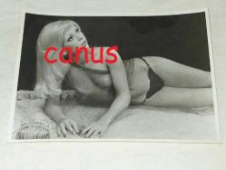 CEYDA KARAHAN Artist Fotoğrafı, Yeşilçam Sinema Fotoğraf