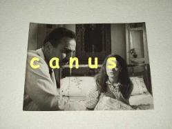 Efemera - REHA YURDAKUL -Vahşi Sevda- Filminde, Yeşilçam Sinema Fotoğraf - kitantik - kitaLog