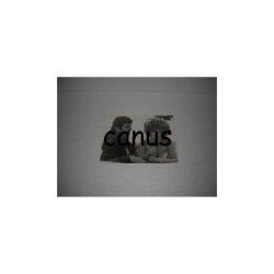 TANJU KOREL ve PİRAYE UZUN Yeşilçam Fotoğrafı, Yeşilçam Sinema Fotoğraf