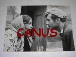 BİTMEYEN YOL filminde FİKRET HAKAN ve SELMA GÜNERİ, Yeşilçam Sinema Fotoğraf