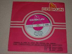 HAMDİ BİLGİN Gönül kapım açıktır Aşk baharı