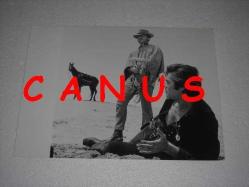 TAMER YİĞİT ve CİHANGİR GAFFARİ -Bir Çuval Para- Western Filmi -Yeşilçam Sinema Fotoğraf