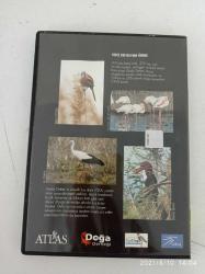 GEDİZ'İN KUŞLARI CENNETE DAVET VCD 2.EL UYGUN FİYATA VCD FİLM ( 9826 DVD SIRASINDA )