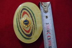 118-T LİONS -ROZET 1994 LİONS *NE MUTLU HİZMET EDENE ROZETİ ( ORH KOL.4 (NO 30)