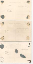 ATATÜRK. İRAN ŞAHI RIZA PEHLEVİ ZİYARETİ GÜRBULAK GÜMRÜK,YAVUZ ZIRHLITREN 