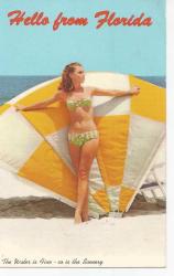 ABD AMERİKAN POSTA KARTI FLORIDA