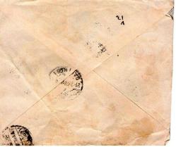 OSMANLICA 1920 ZARF SÜRŞARJLI MATBUA PULU