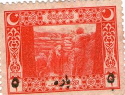 OSMANLI PUL 5 PARA SİYAH SÜRŞARJ RRRR NADİR 1917