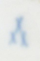 MEİSSEN WATTEAU KABARTMA TABAK 18YY SONU 19.YY BAŞI TAŞ PORSELEN GİBİDİR