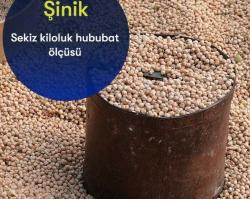 OSMANLI TAHIL ÖLÇÜSÜ METAL ŞİNİK(ÇİNİK) ÇOK ENDER VE KIYMETLİ 756