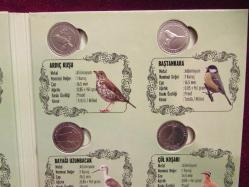 PARA SETİ 2020 DARPHANE HATIRA PARA SETİ (1 KRŞ) ANADOLUYA ÖZGÜN KUŞLAR SERİSİ KULLANILMAMIŞ ÇİL 698