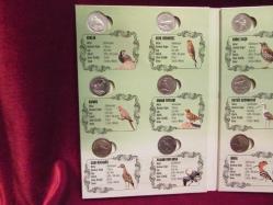 PARA SETİ 2020 DARPHANE HATIRA PARA SETİ (1 KRŞ) ANADOLUYA ÖZGÜN KUŞLAR SERİSİ KULLANILMAMIŞ ÇİL 698