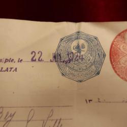 OSMANLI BANKASI 22 TEMMUZ 1924 VE 2087 NOLU MAHMUT ZİYA BEY E AİT HESAP CÜZDANI VE HAREKETLERİ 313