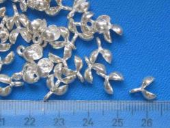 **(58)**PARLAK GÜMÜŞ KAPAMA