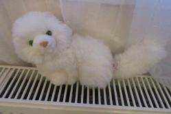 Vintage Russ Berrie Nikki Peluş Kedi Oyuncak Biblo Bebek 30 cm