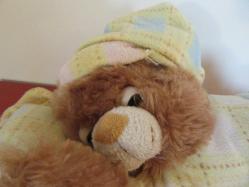 Uyku Arkadaşı Oyuncak Peluş Ayı 30 cm