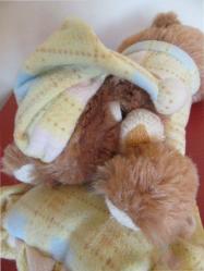 Uyku Arkadaşı Oyuncak Peluş Ayı 30 cm