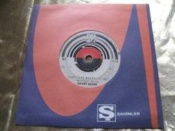 2 - HAYRİ ŞAHİN - Yaptığını beğendin mi? - Acı ızdırap