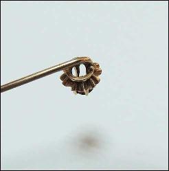 Antika 10K 10 Ayar Altın ve Garnet Yaka İğnesi Stickpin 0042