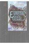 EVRENİN ÖTESİ SERİSİ 1. KİTAP EVRENİN ÖTESİ