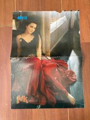 Green Day & Amy Lee / A3 ebadında lamine kaplı poster