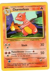 POKEMON KARTI