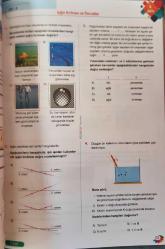 KÖŞEBİLGİ YAYINLARI, 7. SINIF FEN BİLİMLERİ SORU BANKASI
