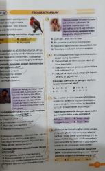 BERKAY YAYINCILIK, 7.SINIF TÜRKÇE