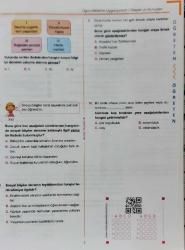 BERKAY YAYINCILIK, 5.SINIF SOSYAL BİLGİLER SORU BANKASI