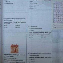 5 RENK YAYINEVİ, ASİSTAN FEN BİLİMLERİ 7.SINIF SORU BANKASI