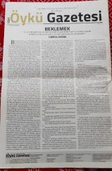 ÖYKÜ GAZETESİ, Sayı: 7 - Nisan 2017
