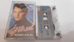 GÖKSEL SENDEN KALAN CAM BASKI