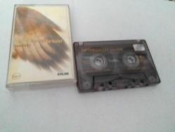 HEMAVAZ KARDEŞ TÜRKÜLER CAM BASKI