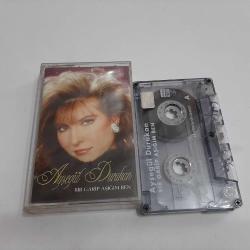 AYŞEGÜL DURUKAN BİR GARİP AŞIĞIM BEN CAM BASKI