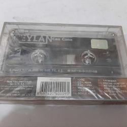 CEYLAN CAN CANA JELATİNLİ CAM BASKI