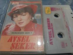 AYSEL ŞEKER NERDESİN SEN CAM BASKI