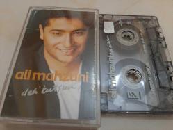 ALİ MAHZUNİ DELİ KURŞUN CAM BASKI