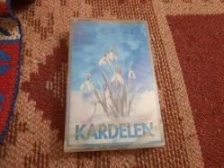 GRUP KARDELEN CAM BASKI JELATİNLİ
