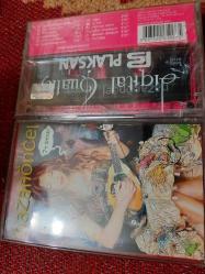 NAZAM ÖNCEL GÖÇ CAM BASKI