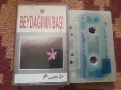 RUHİ SU BEYDAĞI'NIN BAŞI CAM BASKI