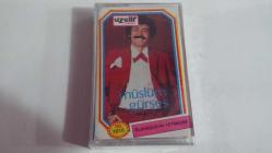 MÜSLÜM GÜRSES-ÖLDÜRDÜĞÜN YETMEDİMİ KASET