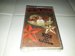 ZZ TOP- ONE FOOT IN THE BLUES KASET