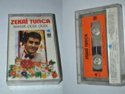 zekai tunca bahar çiçek çiçek
