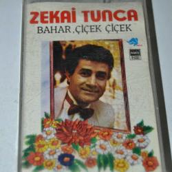 zekai tunca bahar çiçek çiçek