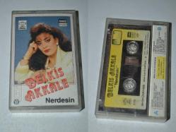 belkız akkale nerdesin