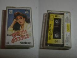 belkız akkale nerdesin