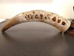 Kemik boynuz, yüzeyi el oyması fil figürleri işli. B: 35 cm