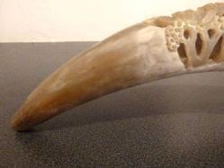 Kemik boynuz, yüzeyi el oyması fil figürleri işli. B: 35 cm